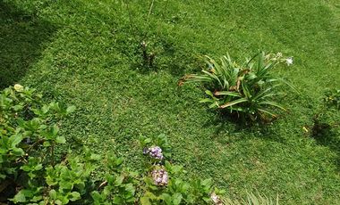 CASA CAMPESTRE EN ARRIENDO EN MONTELARGO