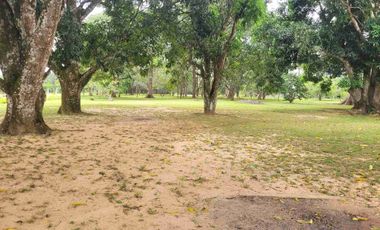Vendo Finca de 4.700 Hectáreas en Puerto López Meta, Sector El Toro