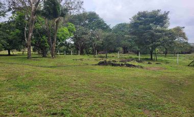 Vendo Finca de 4.700 Hectáreas en Puerto López Meta, Sector El Toro