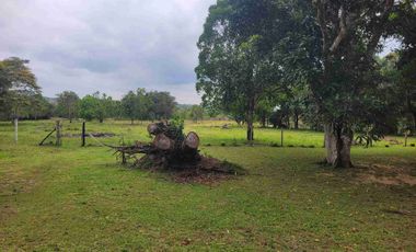 Vendo Finca de 4.700 Hectáreas en Puerto López Meta, Sector El Toro