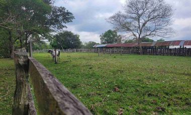 Vendo Finca de 4.700 Hectáreas en Puerto López Meta, Sector El Toro