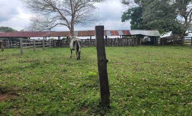 Vendo Finca de 4.700 Hectáreas en Puerto López Meta, Sector El Toro