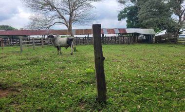 Vendo Finca de 4.700 Hectáreas en Puerto López Meta, Sector El Toro