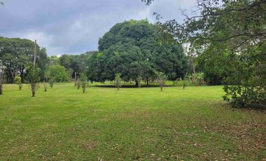 Vendo Finca de 4.700 Hectáreas en Puerto López Meta, Sector El Toro
