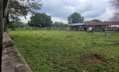 Vendo Finca de 4.700 Hectáreas en Puerto López Meta, Sector El Toro