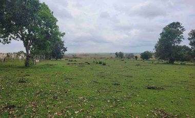 Vendo Finca de 4.700 Hectáreas en Puerto López Meta, Sector El Toro