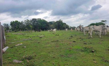 Vendo Finca de 4.700 Hectáreas en Puerto López Meta, Sector El Toro