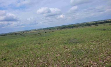 Vendo Finca de 4.700 Hectáreas en Puerto López Meta, Sector El Toro