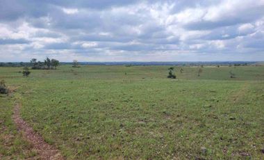 Vendo Finca de 4.700 Hectáreas en Puerto López Meta, Sector El Toro