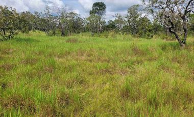 Vendo Finca de 4.700 Hectáreas en Puerto López Meta, Sector El Toro