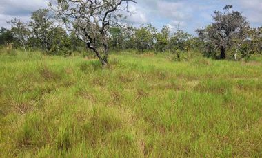 Vendo Finca de 4.700 Hectáreas en Puerto López Meta, Sector El Toro