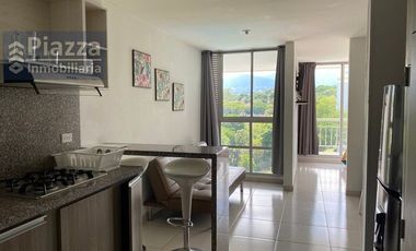 Acogedor y Encantador Apartaestudio AMOBLADO en Arriendo en Terekay 2, Calle 69, Ibague