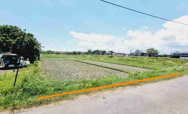 Tanah disewakan di Gatak, Delanggu, Klaten, Jawa Tengah