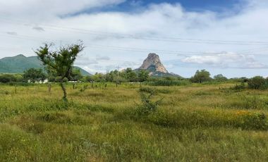 VENTA DE TERRENO EN BERNAL, QRO. VT53