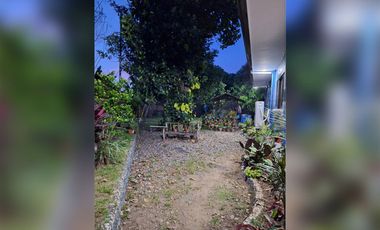 Serene Charm Elegant Blue Bungalow on a Spacious Lot