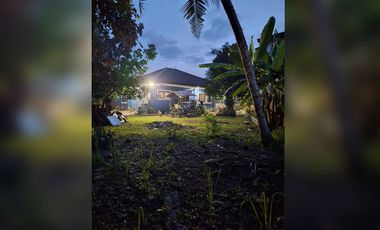 Serene Charm Elegant Blue Bungalow on a Spacious Lot