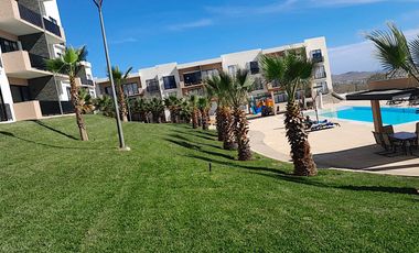 Vive la vida que siempre soñaste - Maralta, Cabo San Lucas! 🌴✨