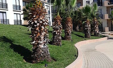 Vive la vida que siempre soñaste - Maralta, Cabo San Lucas! 🌴✨