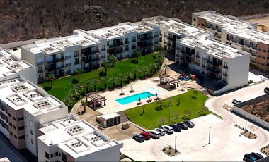 Vive la vida que siempre soñaste - Maralta, Cabo San Lucas! 🌴✨