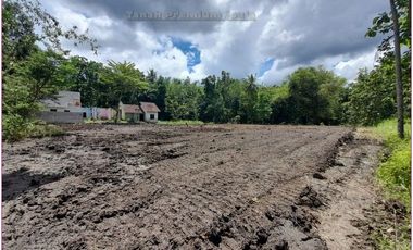 Beli rumah 300 jtan dekat UMY, DALAM CLUSTER