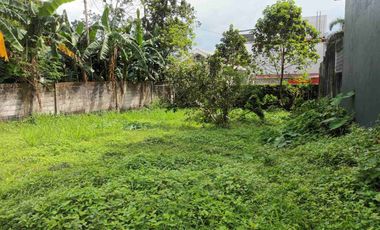 Residential Lot for sale in Curtis Street, Batasan Hills, 2nd District, Quezon City, Eastern Manila District