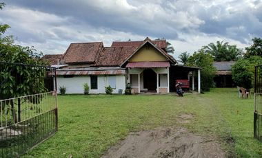 DIJUAL TANAH BONUS RUMAH HALAMAN LUAS SRIGADING KM 14 PALEMBANG