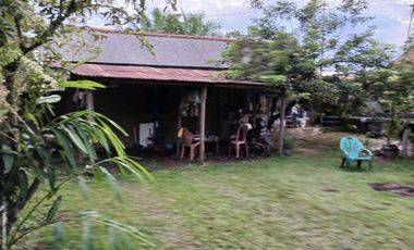 DIJUAL TANAH BONUS RUMAH HALAMAN LUAS SRIGADING KM 14 PALEMBANG