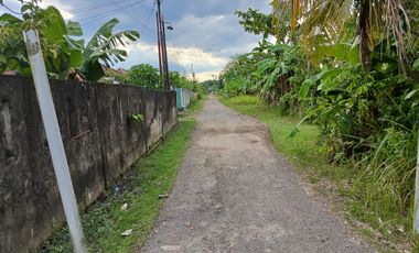 DIJUAL TANAH BONUS RUMAH HALAMAN LUAS SRIGADING KM 14 PALEMBANG