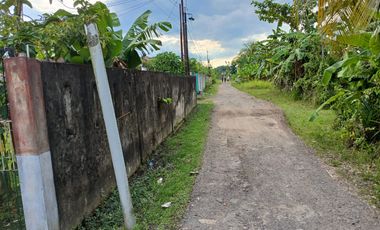 DIJUAL TANAH BONUS RUMAH HALAMAN LUAS SRIGADING KM 14 PALEMBANG