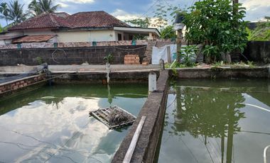 DIJUAL TANAH BONUS RUMAH HALAMAN LUAS SRIGADING KM 14 PALEMBANG