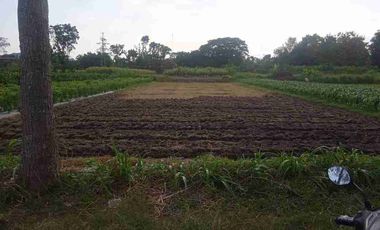 Dijual Tanah Zona Kuning Lokasi Jogonalan,Klaten
Luas 2555m2