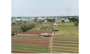 sewa bulanan termurah apartemen Aeropolis ar3 tower 1 furniture lengkap neglasari sebrang bandara Soekarno-Hatta Tangerang Selatan Banten full furnish furnished