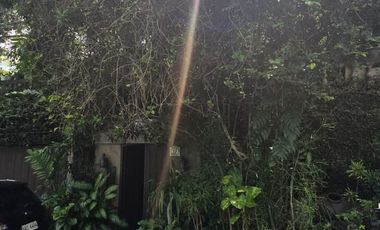 Residential Lot for Sale in White Plains, Quezon City