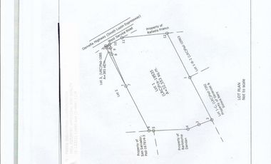 32,938 sqm Lot for Sale in West Service Road, Sun Valley, Paranaque City
