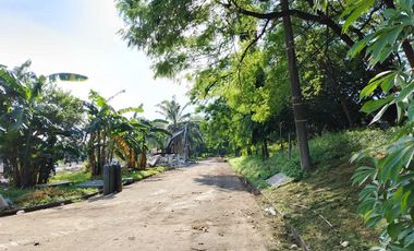 32,938 sqm Lot for Sale in West Service Road, Sun Valley, Paranaque City