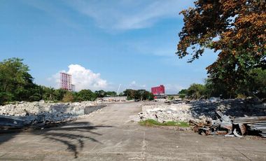 32,938 sqm Lot for Sale in West Service Road, Sun Valley, Paranaque City