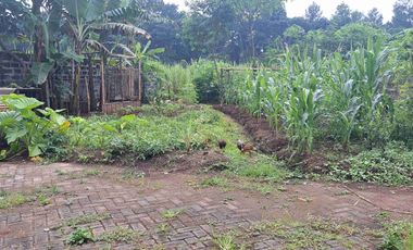 Tanah Strategis dekat Jalan Raya Losari Singosari