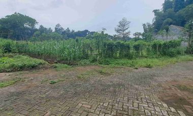 Tanah Strategis dekat Jalan Raya Losari Singosari