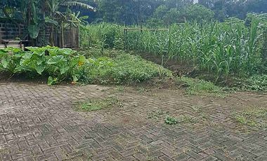 Tanah Strategis dekat Jalan Raya Losari Singosari