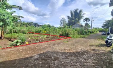 Tanah Strategis dekat Jalan Raya Losari Singosari