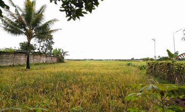 Rumah megah bonus tanah kosong Purbalingga.