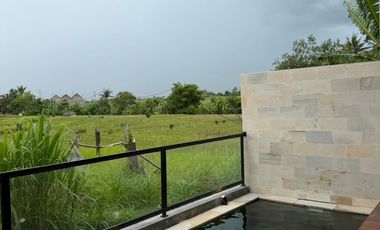 Villa cepaka munggu bali