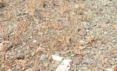 Tanah disewakan di Cilandak Barat, Cilandak, Jakarta Selatan, Daerah Khusus ibukota Jakarta