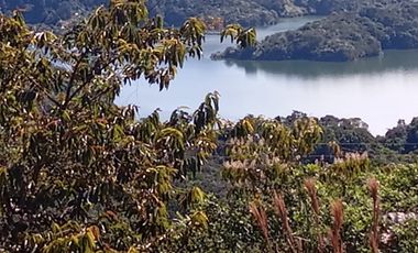 Venta Finca Agrícola San Roque Antioquia