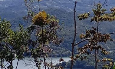 Venta Finca Agrícola San Roque Antioquia