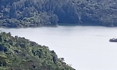 Venta Finca Agrícola San Roque Antioquia