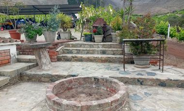 VENDO FUNDO LAS RETAMAS