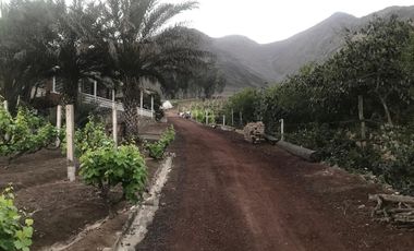 VENDO FUNDO LAS RETAMAS