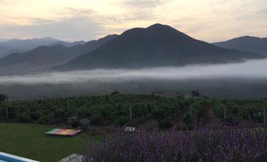 VENDO FUNDO LAS RETAMAS