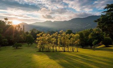 ALQUILO FINCA LA ENRAMADA EN PALESTINA INFORMES AL3007884428 FINCA PRIVADA